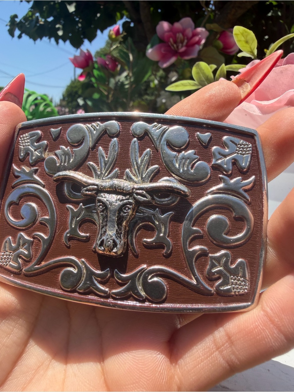Othr Brown & Silver Longhorn Western Buckle